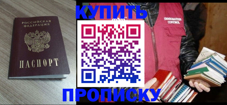 прописка 2025 в Михайловске